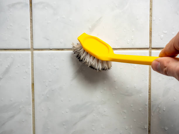 Best Mold Remediation  in Lorenz Park, NY
