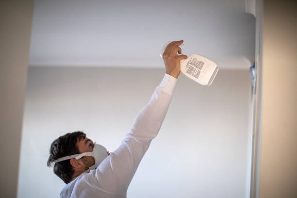 Best Local Mold Removal Service  in Lorenz Park, NY