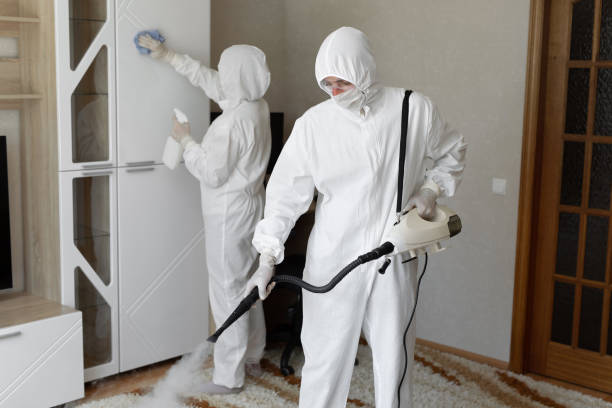 Best Mold Removal Process  in Lorenz Park, NY