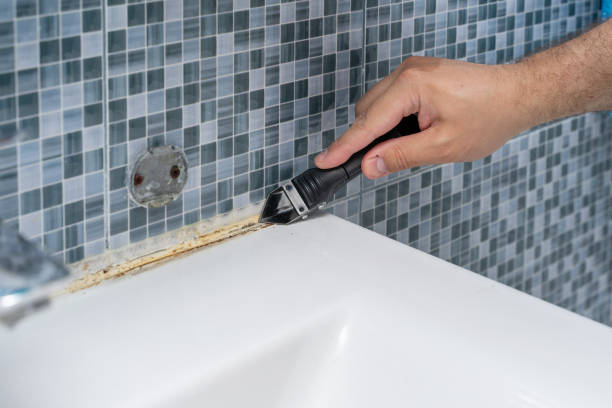 Best Office Mold Removal Services  in Lorenz Park, NY